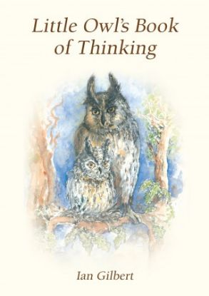 little-owl-s-book-of-thinking