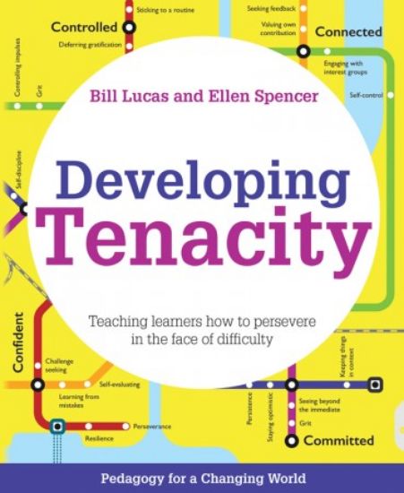 Picture of Developing Tenacity