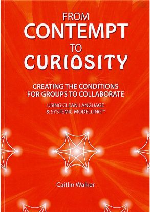 Picture of From Contempt to Curiosity: Creating the Conditions for Groups to Collaborate Using Clean Language and Systemic Modelling